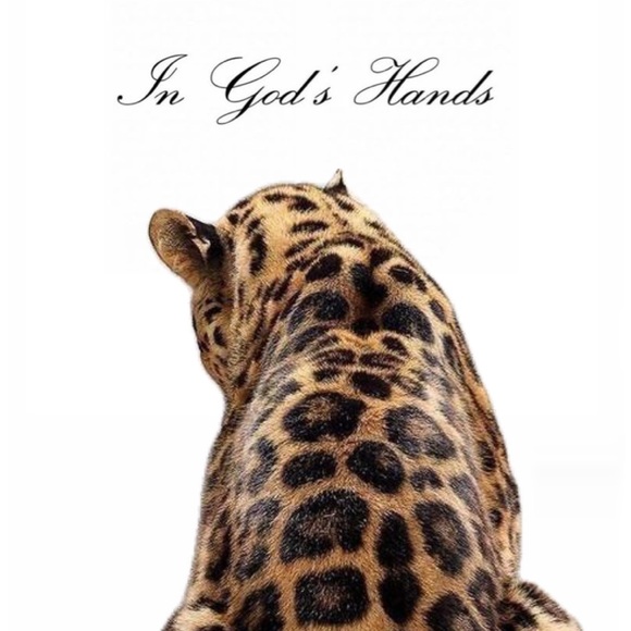 WHEN I’M LIVE 🎥 - Picture 2 of 7